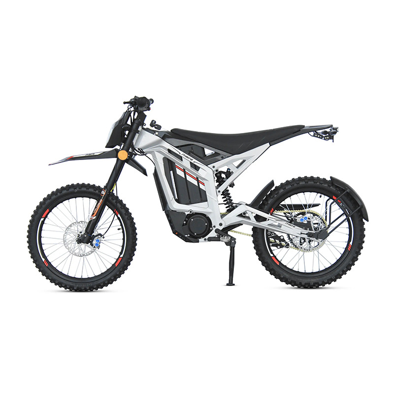*forMZ-24 3000W Centrale Motor - Dual Motor Electric Motorcycle Frame recensie en prijs
