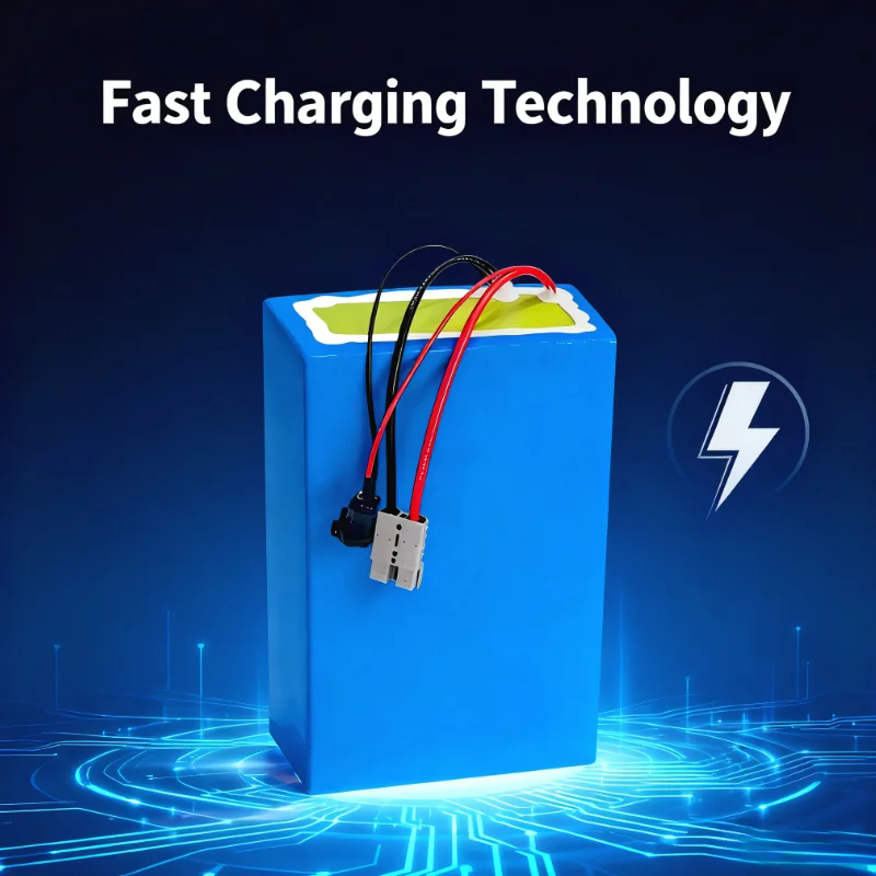 BMS 72V lithium-ionbatterij 20 - 72V 60Ah Lifepo4 Battery Pack recensie en prijs